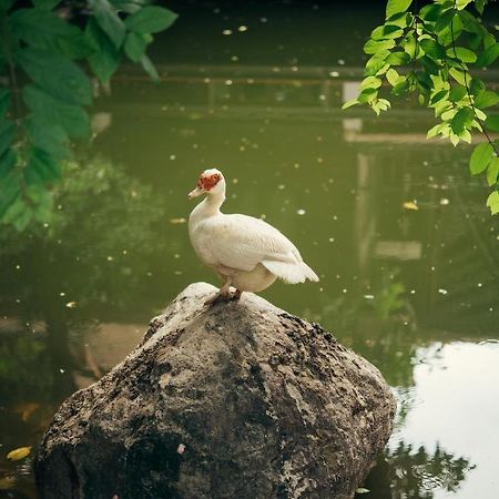 Chompor Lanna Hotel チエンマイ エクステリア 写真