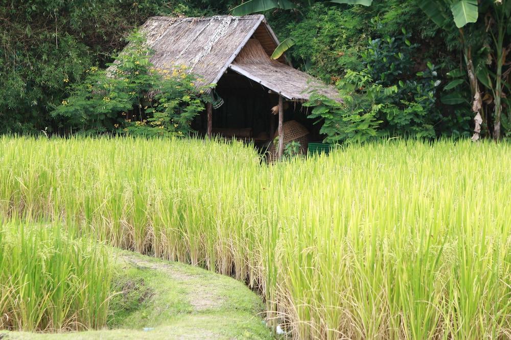 Chompor Lanna Hotel チエンマイ エクステリア 写真