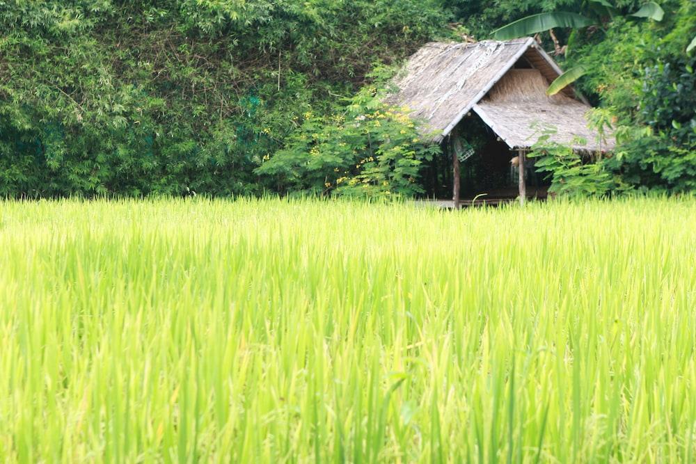 Chompor Lanna Hotel チエンマイ エクステリア 写真